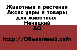 Животные и растения Аксесcуары и товары для животных. Ненецкий АО